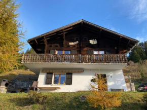 Chalet le Darbys